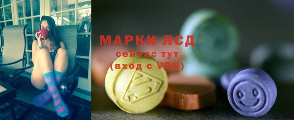 индика Беломорск