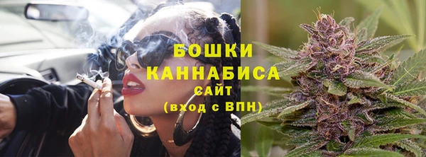 индика Беломорск