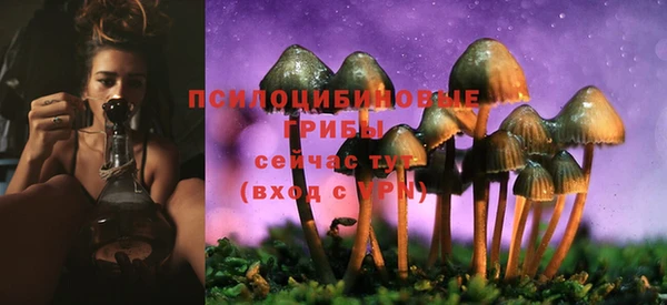 PSILOCYBIN Баксан