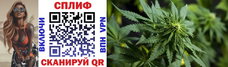 кракен как зайти  Тосно  Канабис White Widow 